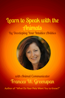 Learn to Speak with the Animals - Frances W. Greenspan